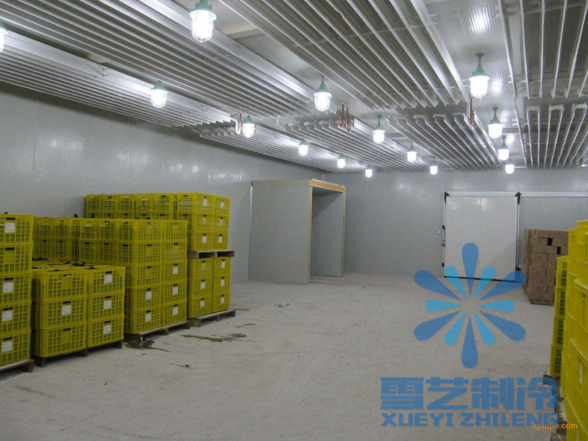 蒜薹（tái）冷庫設計安裝，冷庫價格多少錢
