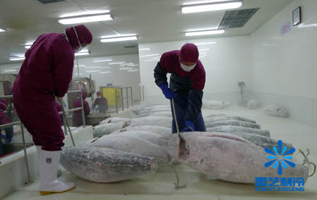 肉類(lèi)冷凍庫(kù)設(shè)計(jì)安裝公司雪藝制冷