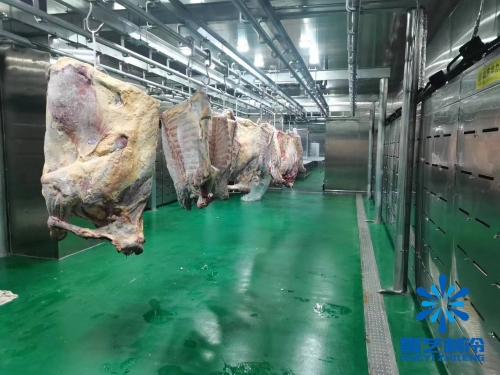 浙江海鮮肉類低溫高濕解凍庫、緩化庫工程案例
